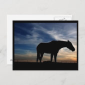 Carte postale du Cheval du coucher du soleil (Devant / Derrière)