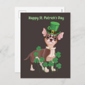 Carte postale du chihuahua de la Saint Patrick (Devant / Derrière)
