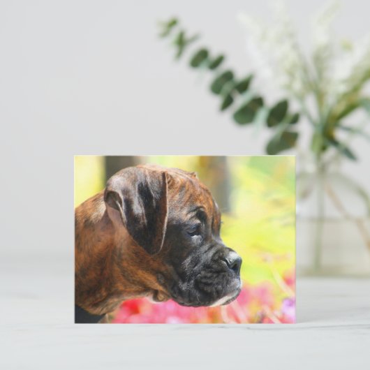 Carte postale du chiot Brindle Boxer (Debout devant)