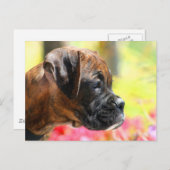 Carte postale du chiot Brindle Boxer (Devant / Derrière)