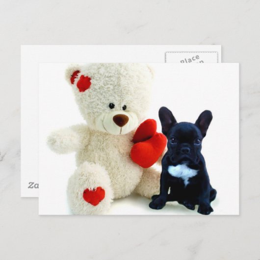 Carte postale du chiot de Valentine (Devant / Derrière)