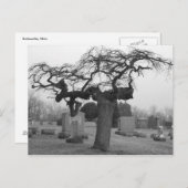 Carte postale du cimetière (Devant / Derrière)