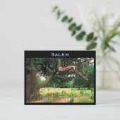 Carte postale du cimetière de Salem (Debout devant)