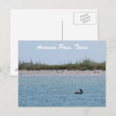 Carte postale du col Aransas Texas Coast avec Peli (Devant / Derrière)