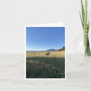 Carte postale du Colorado 5