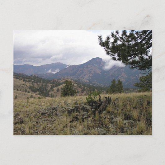 Carte postale du Colorado Mountains (Devant)
