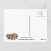 Carte postale du cool Calico Ghost Town ! (Dos)