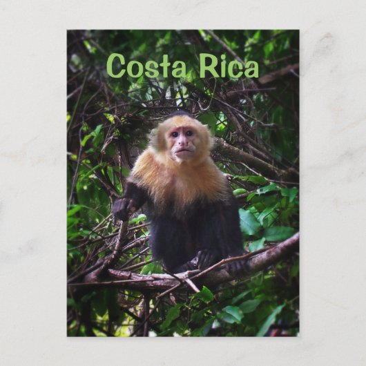Carte postale du Costa Rica (Devant)