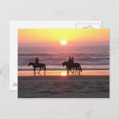 Carte postale du coucher de soleil avec cheval (Devant / Derrière)