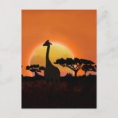 Carte postale du coucher de soleil avec girafe | F (Devant)