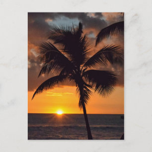 Carte postale du coucher de soleil, des palmiers e