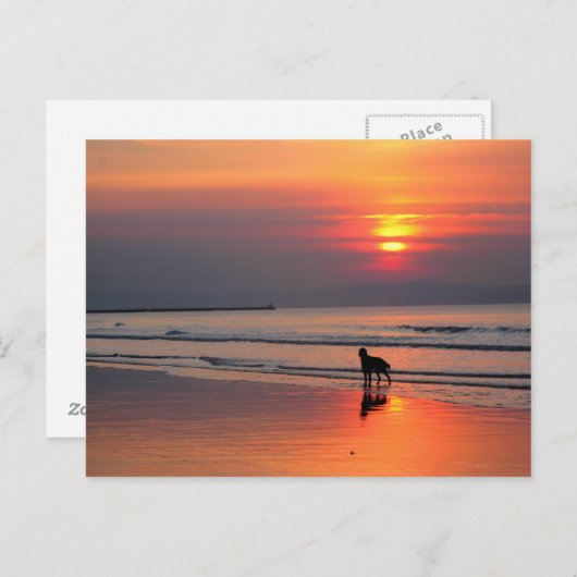 Carte postale du coucher de soleil sur la mer d'Ir (Devant / Derrière)