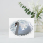 Carte postale du cygne de trompette (Debout devant)
