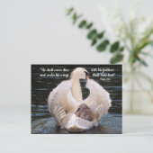 Carte postale du cygne portant un jeune cygne sous (Debout devant)