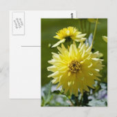 Carte postale du Dahlia Jaune (Devant / Derrière)