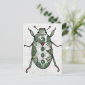 Carte postale du dendroctone du pin (Debout devant)