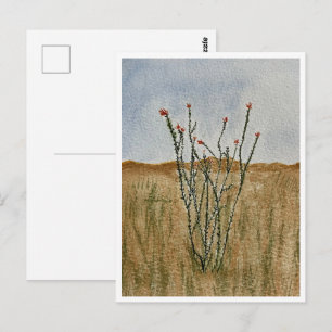 Carte postale du désert de Chihuahua Ocotillo
