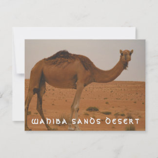 Carte postale du désert de Wahiba sands