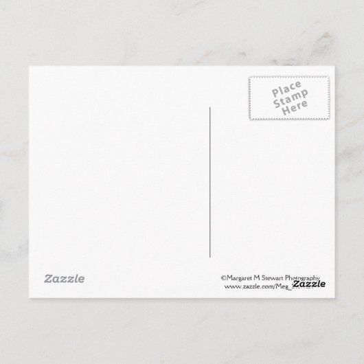 Carte postale du devis d'amitié Chipmunk (Dos)