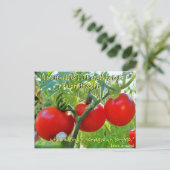 Carte Postale du devis de plaisir Tomato (Debout devant)
