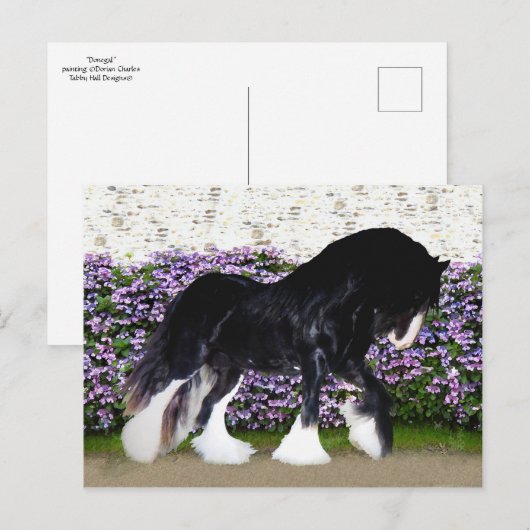 Carte postale du "Donegal" (Devant / Derrière)