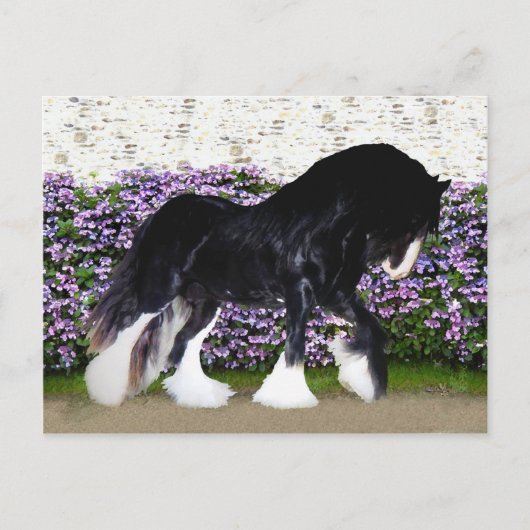 Carte postale du "Donegal" (Devant)