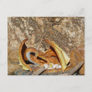 Carte postale du dragon