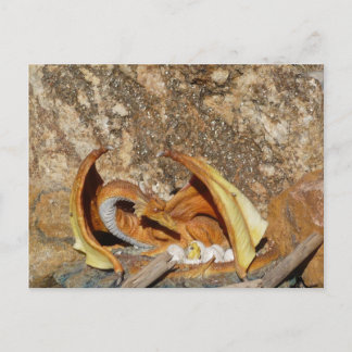 Carte postale du dragon