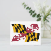 Carte postale du drapeau du Maryland (Debout devant)