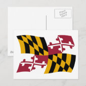 Carte postale du drapeau du Maryland (Devant / Derrière)
