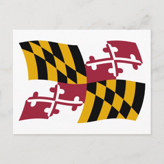 Carte postale du drapeau du Maryland (Devant)