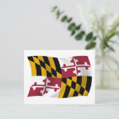 Carte postale du drapeau du Maryland (Debout devant)