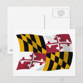 Carte postale du drapeau du Maryland (Devant / Derrière)