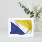 Carte postale du drapeau du Schleswig du Nord (Debout devant)