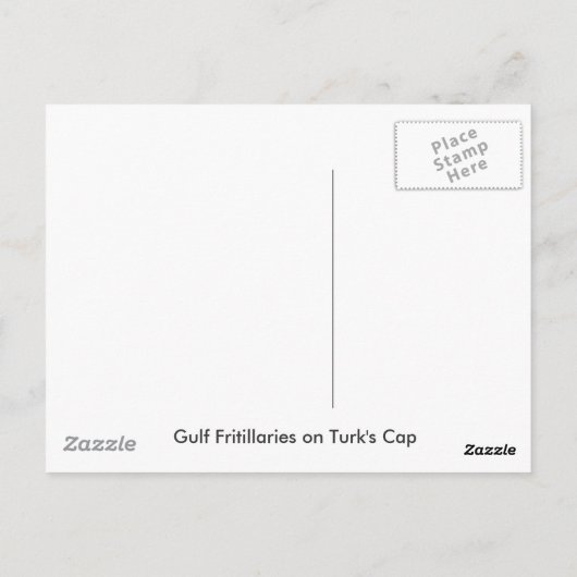 Carte postale du duo fritillaire du Golfe (Dos)