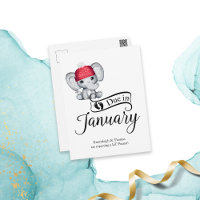 Dû en Janvier Petit Arachide bébé éléphant