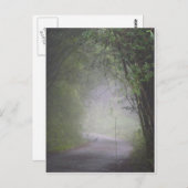 Carte postale du faisan de Mikado (Devant / Derrière)