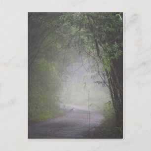 Carte postale du faisan de Mikado