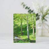 Carte postale du feuillage de printemps (Debout devant)