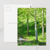 Carte postale du feuillage de printemps (Devant / Derrière)