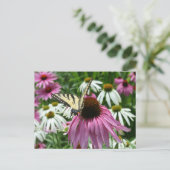 Carte postale du filtre à papillon Tiger Swallowta (Debout devant)