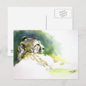 Carte postale du guépard majestueux (Devant / Derrière)