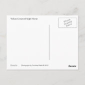 Carte postale du héron de nuit à couronne jaune (Dos)