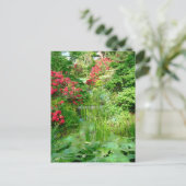 Carte postale du jardin (Debout devant)