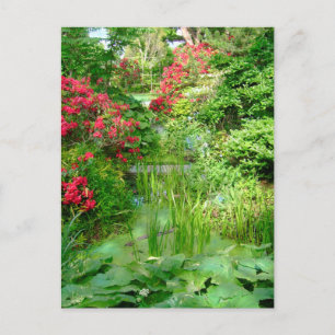 Carte postale du jardin