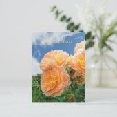 Carte postale du jardin anglais (Debout devant)