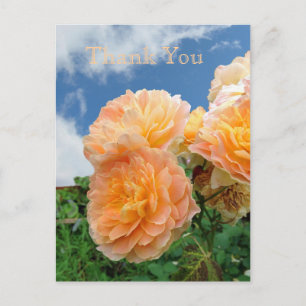 Carte postale du jardin anglais