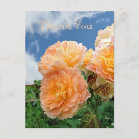 Carte postale du jardin anglais (Devant)