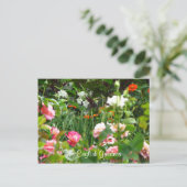 Carte postale du jardin anglais (Debout devant)