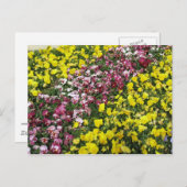 Carte postale du jardin coloré (Devant / Derrière)